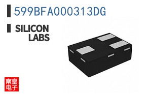 599BFA000313DG